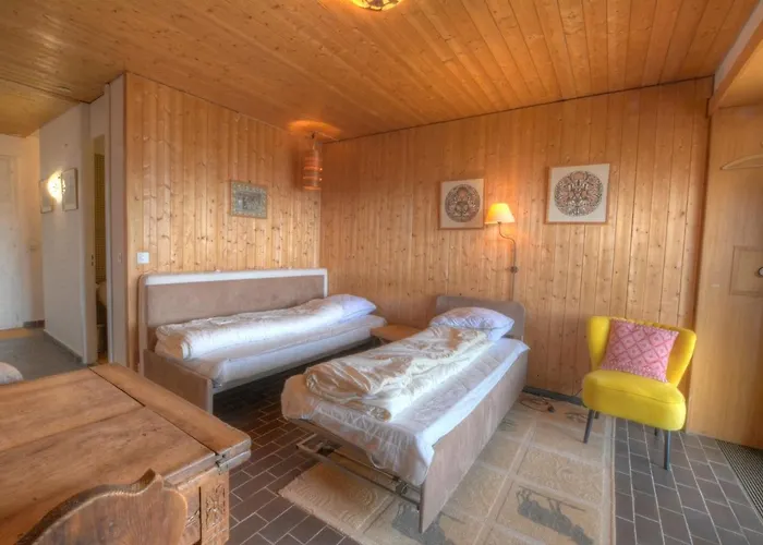 Antares 403 Au Centre A